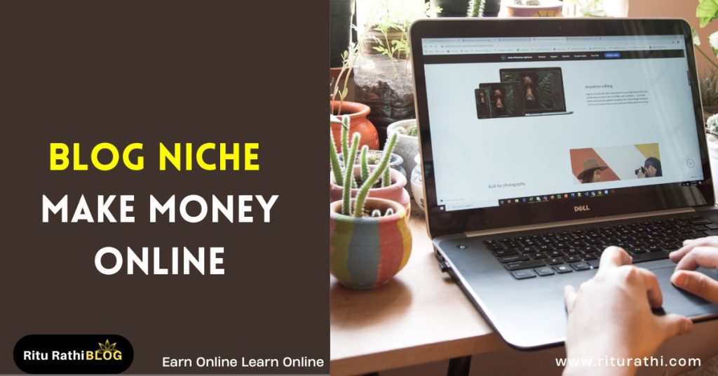 Blog Niche - Make Money Online