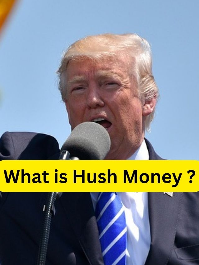 What is Hush Money ?