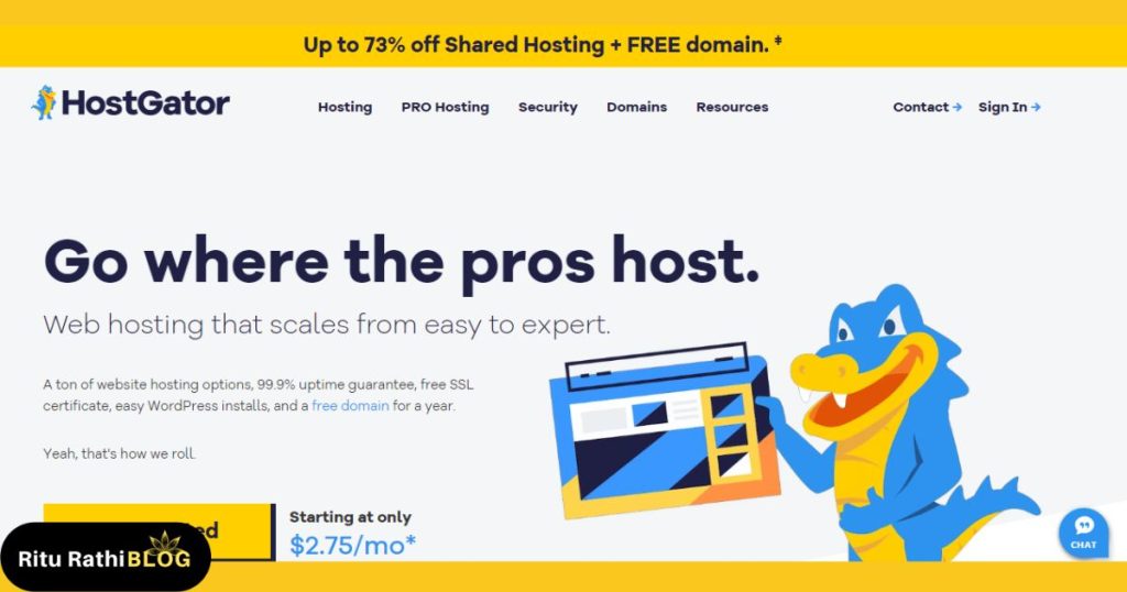 HostGator Hosting